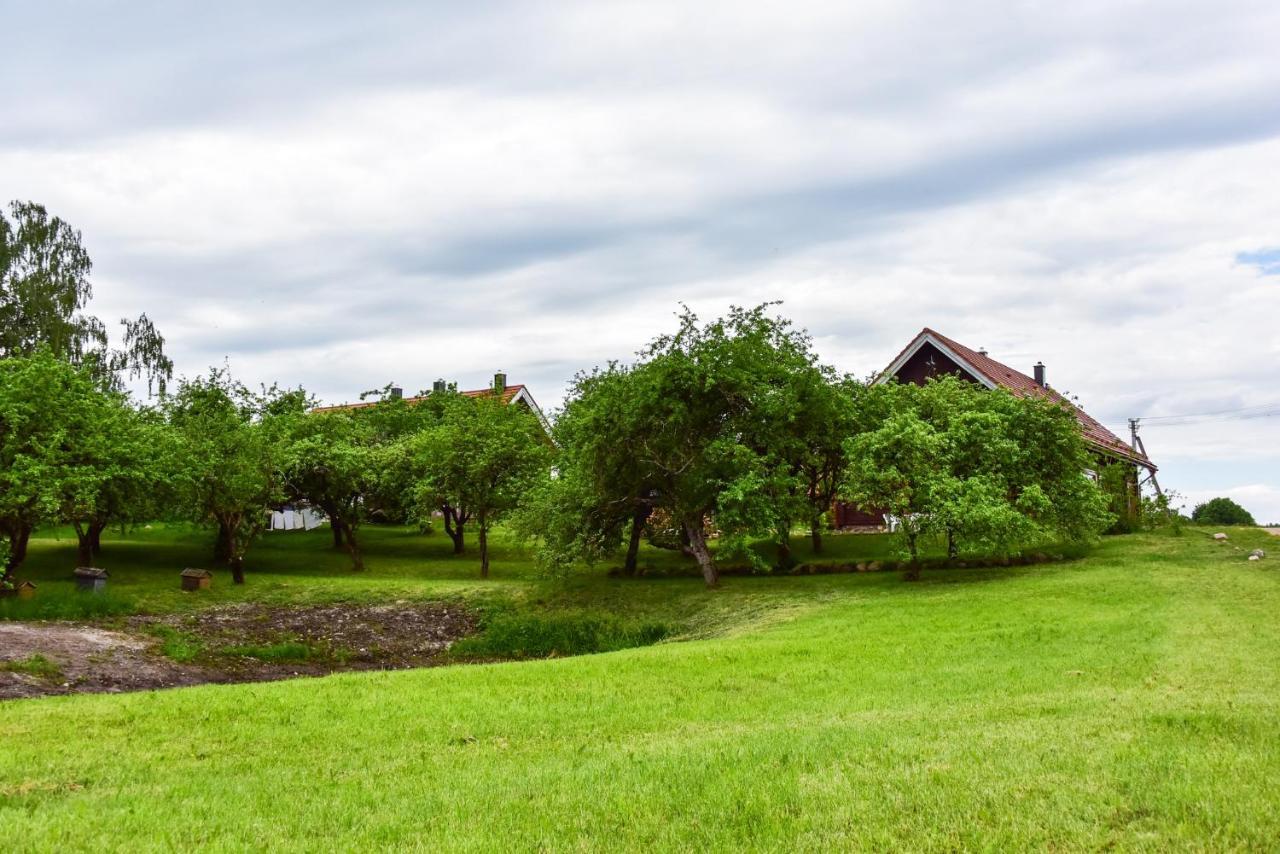 Sunny Beaver B&B Trakai Dış mekan fotoğraf