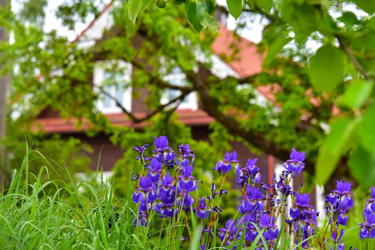 Sunny Beaver B&B Trakai Dış mekan fotoğraf