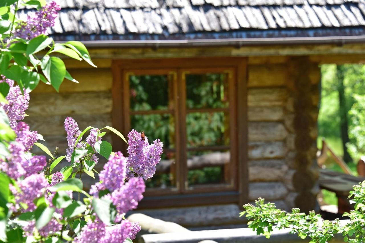 Sunny Beaver B&B Trakai Dış mekan fotoğraf